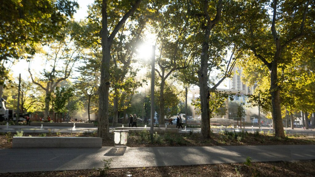 L'esplanade Charles de Gaulle de Montpellier, le matin, effets de lumière du soleil levant dans les arbres en été