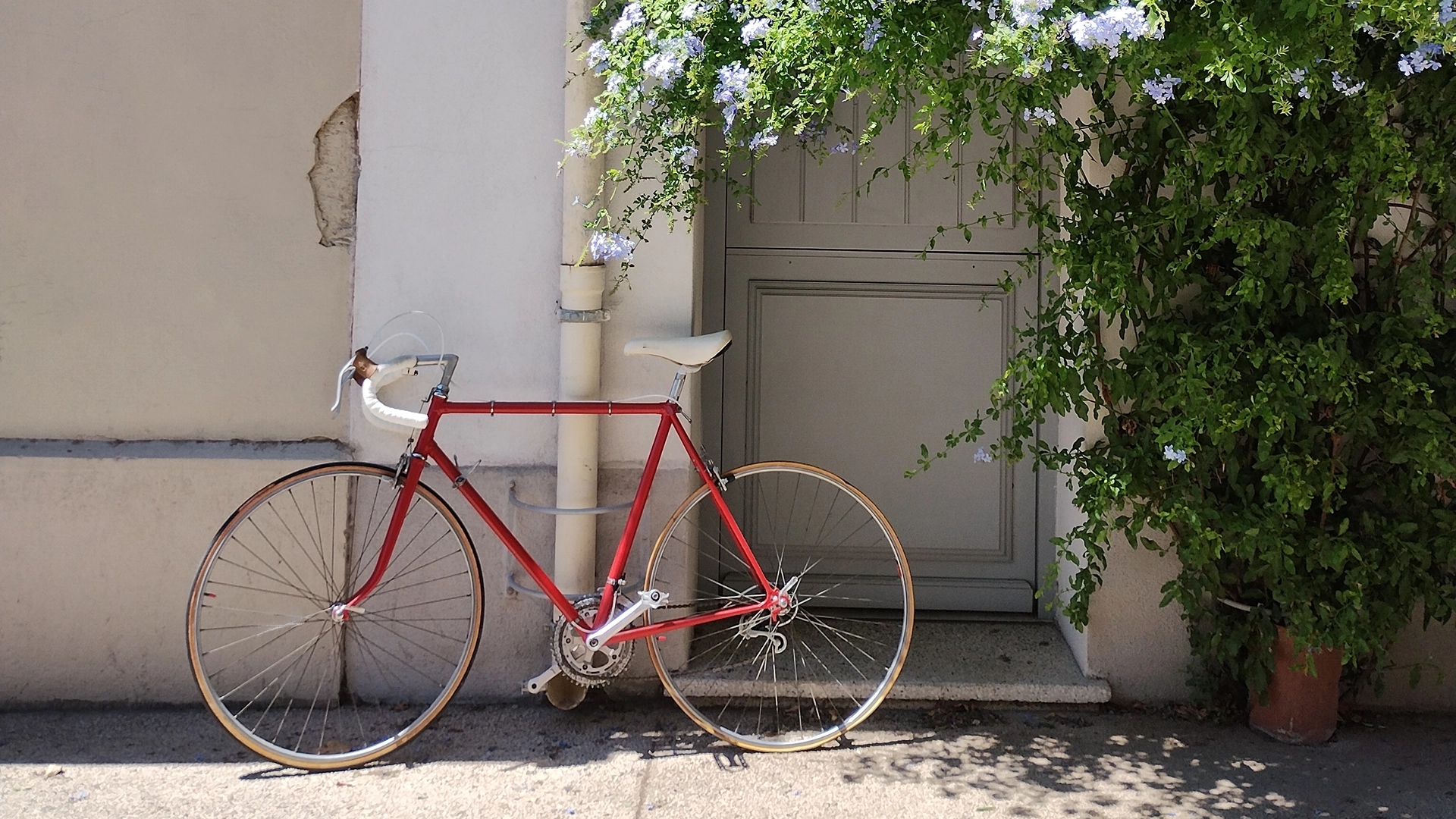 un vélo rouge déposé contre une façade rue draparnaud