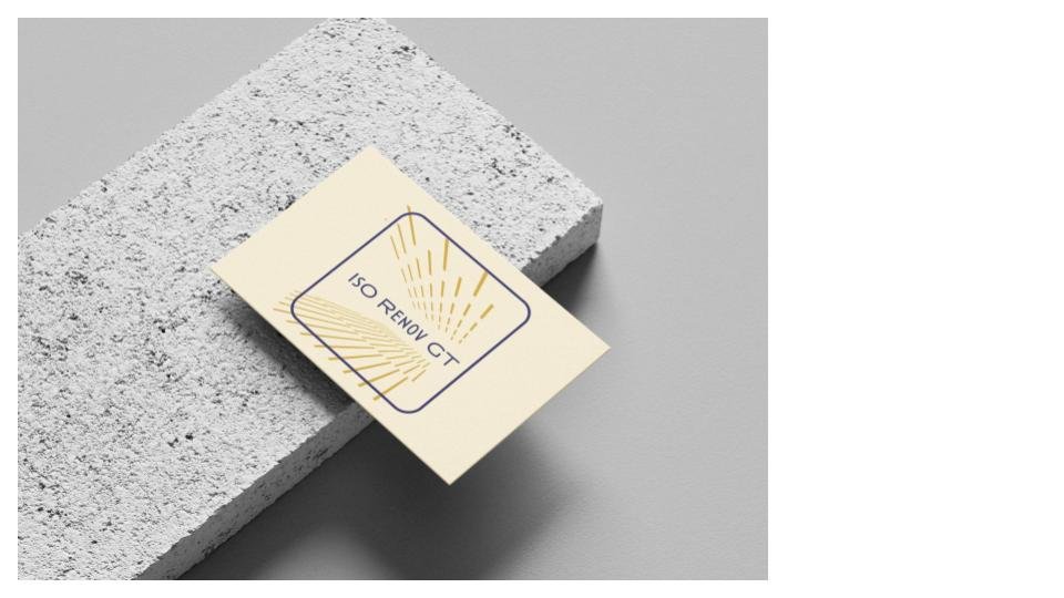 carte de visite et logo iso renov gt proposition 4