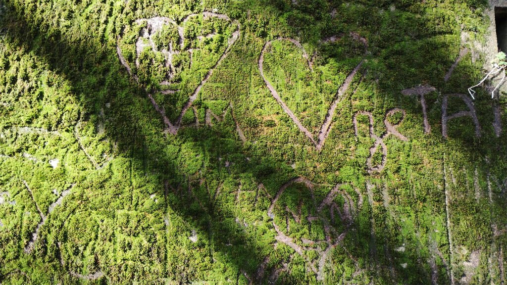 Photo de graffitis gravés dans la mousse sur un mur