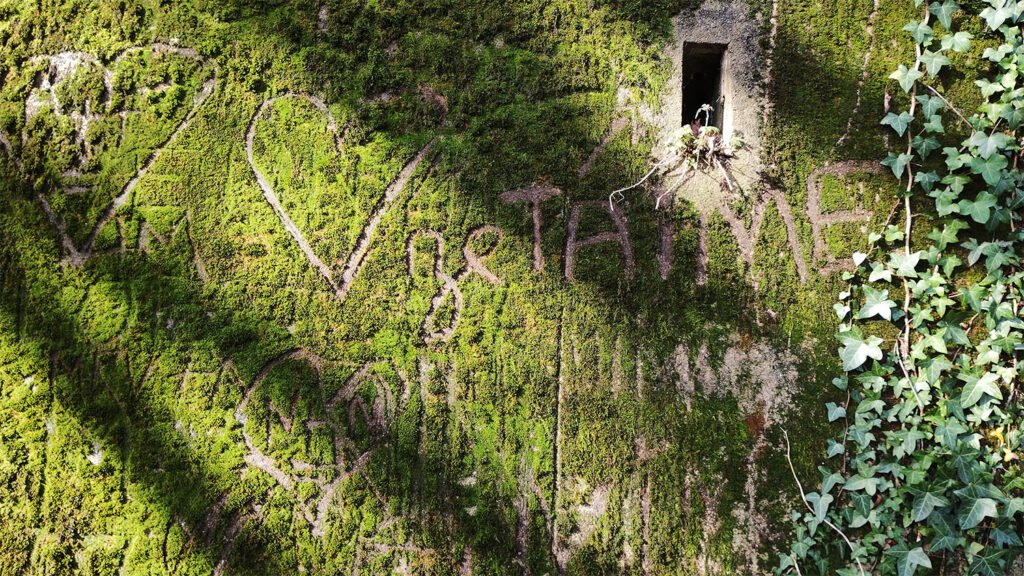 Graffiti "je t'aime" gravé dans la mousse sur un mur
