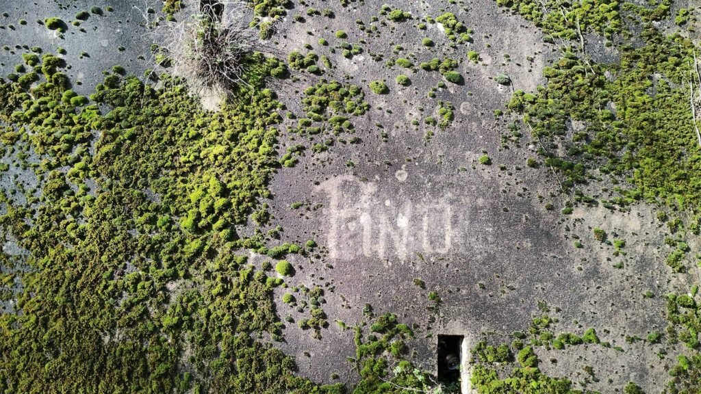 Graffiti "Pino" sur un mur entouré de mousses